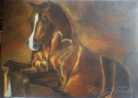 /album/galerie-photos/couleur-dautomne-jpg1/